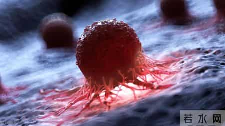 癌症到最后都是咋去世的？医生叹息：去世前，身体有5个征兆