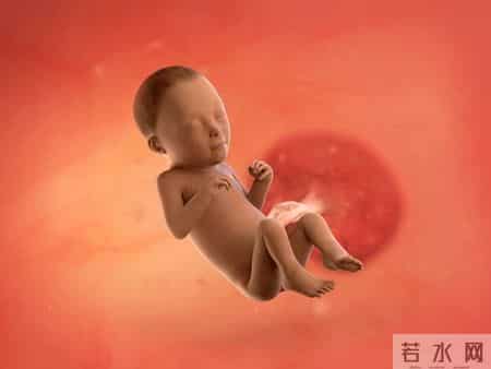 怀孕1-40周，胎儿发育每周变化！孕妈妈的干货科普