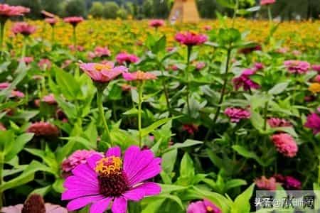 你一定要坚信，那些在背后害你的烂人，一定会受到上天的惩罚