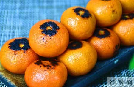国外研究：橘皮加热100°C，能杀死93%的癌细胞，科学还是谣言？