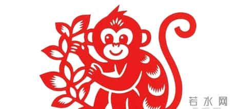 2026年将至，这届“金猴”如何避免踩坑逆袭？