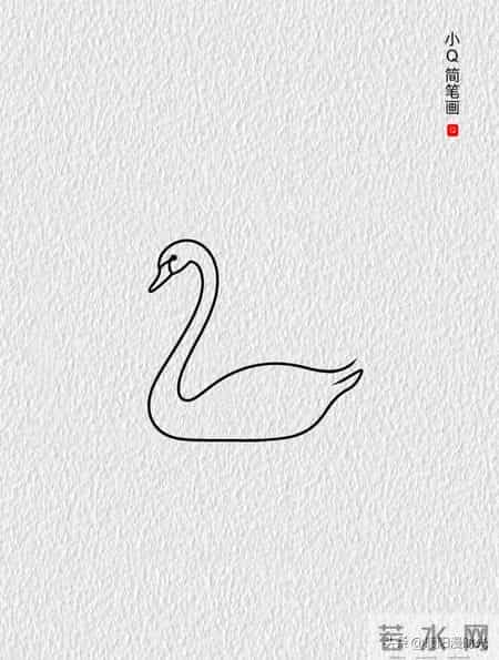 鹅丨小Q简笔画幼儿启蒙绘画分享