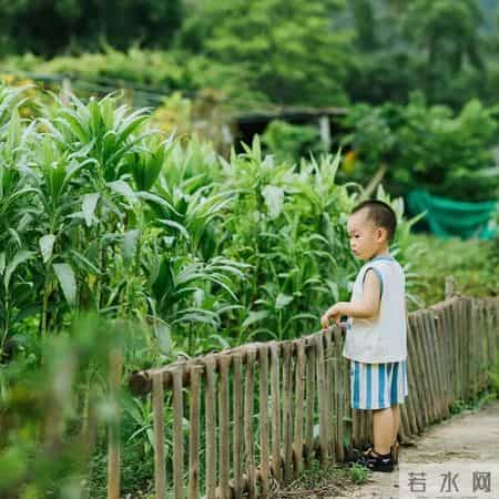 0-3岁脑发育黄金期！12个科学方法，激活宝宝大脑潜力！