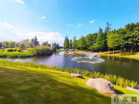 所谓的“见过世面”，不过是让孩子看见父母努力生活的样子