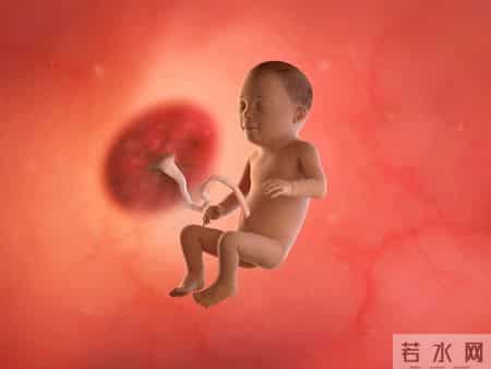 怀孕1-40周，胎儿发育每周变化！孕妈妈的干货科普