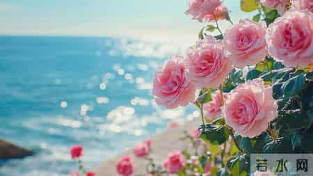 人这一辈子，千万别和自己的孩子较劲，作为父母，心态一定要好！