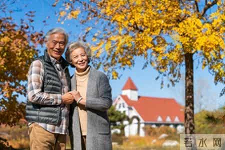 养老别靠儿子！做好这4点，后半辈子踏实无忧