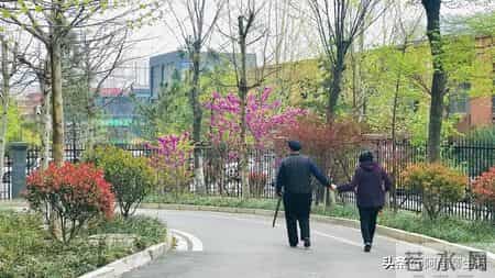 晚年搭伙过日子，70岁大爷直言：女人过60，只剩这两点最吸引人