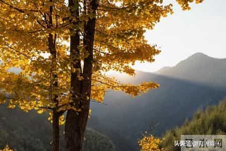 人过七十，最大的聪明是“薄情”：哪怕亲戚再亲，也不要主动