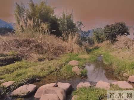 人老了，若没这三分狠心，你的晚年就是儿女眼里的鸡肋，食之无味