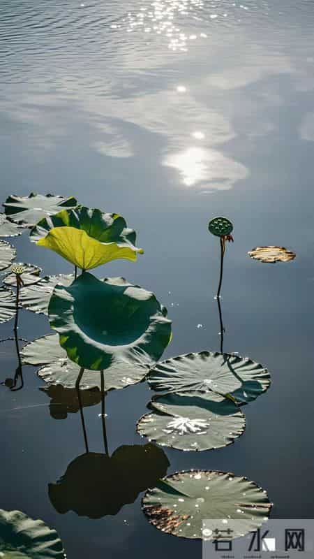 老了才明白：一个人能活到75岁，是有老天的恩典