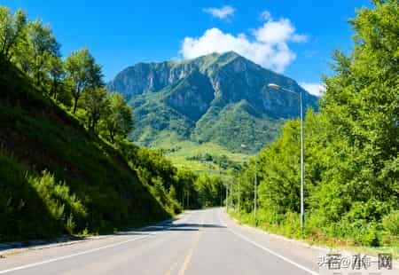 马上进入三九了，奉劝中老年朋友，我们要像猫一样生活
