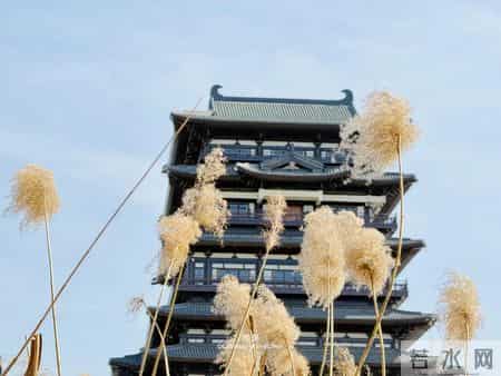 老了以后，这三种人再熟也别见