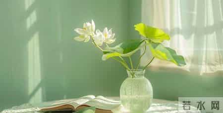 有这些特征，说明你比别人聪明很多倍！