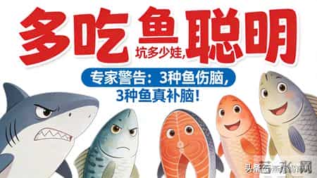 “多吃鱼聪明”坑了多少娃？专家警告：3种鱼伤脑，3种鱼真补脑！