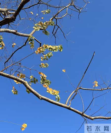 江浙鲁参保近4千万，为啥养老金结余远不如广东？核心差距在3点