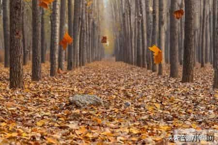 人过七十，最大的聪明是“薄情”：哪怕亲戚再亲，也不要主动