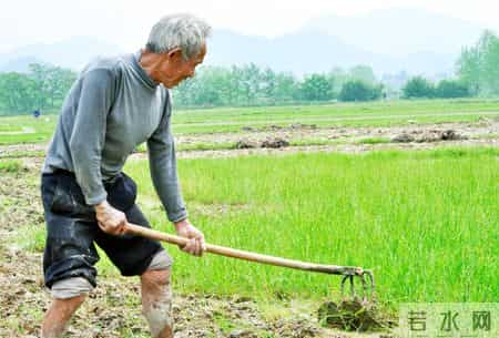 多名院士呼吁：超过67岁的老人，宁可在家看电视，也别出去干这些