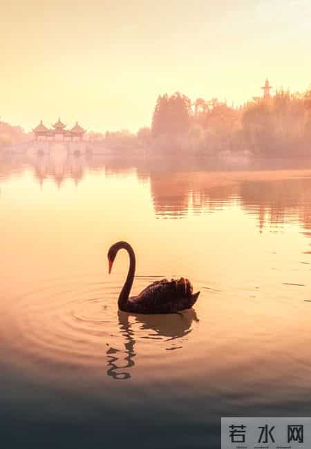 别不信，人老了，最终能靠得住的，只有这两样