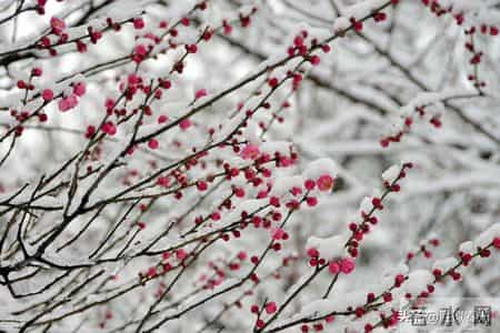 父母没钱，没背景，却有严格的家教，这种孩子的未来怎么样