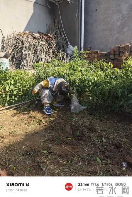 把日子过成一首无忧无虑的歌