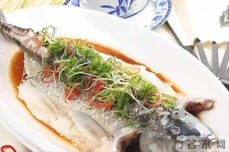 老人最适合吃的高蛋白，鸡蛋只排在第4，第一名很多人都还不了解