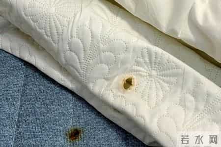 多名医生呼吁：立即停止使用电热毯，否则可能会诱发这些疾病？