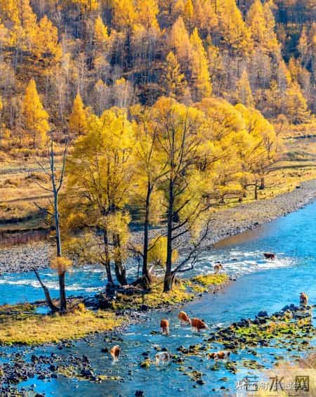 职场晋升的4个“暗码”：当机会向你递出橄榄枝，别错过