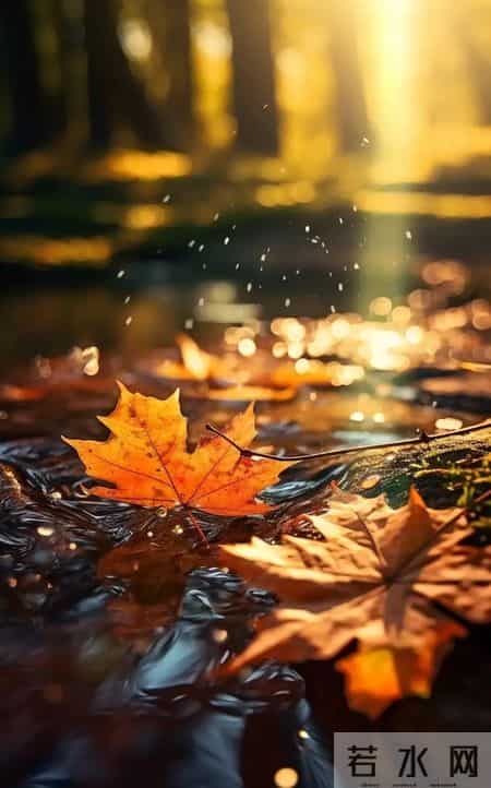 张晓磊爆文-和任何人打交道，记住两招就够了-事要缓，心要藏