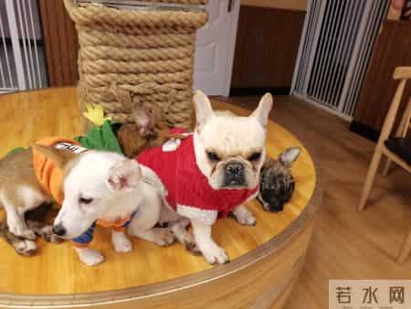 40岁后别瞎折腾！这3种养老生意闷声发财，有人年入百万