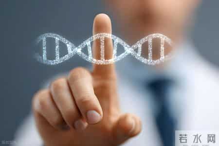 全系统生物干预：破解自闭症与发育迟缓的整合干预新范式