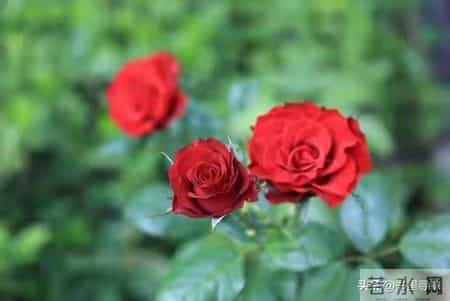 真没想到，你会如此幸运，你的孩子遇到贵人了