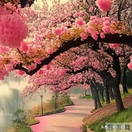 23分钟不打扰：从蚯蚓黏液里，挖出最硬核的育儿真相