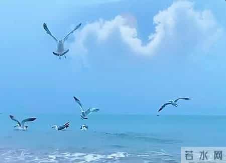 一位百岁老人感慨-最好的养老方式是