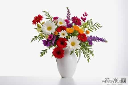 老了才明白-若有余钱别不舍给自己添这3样养老，不拖累娃也不遭罪