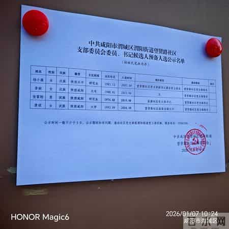 高学历扎堆社区岗：“低配铁饭碗”背后的就业现实与价值重构