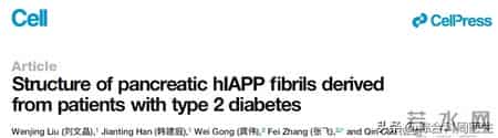 2026《细胞》开篇重磅！上海交大团队破解糖尿病关键病理密码