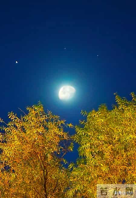 读懂社保提示，守好晚年“养老钱”