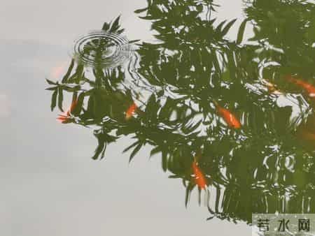 张晓磊情感爆款文章-和任何人相处，掌握这两招就够了！