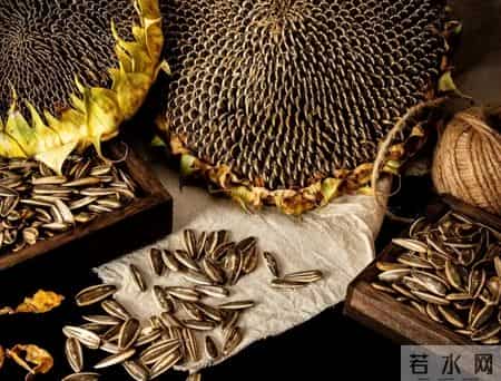 确诊高血脂，连瓜子都不能碰？医生揭秘：这4样食物再馋也得戒！