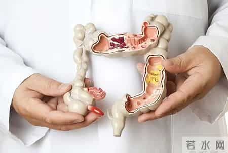 为啥很多人不愿意做肠镜？美国研究：做一次肠镜，或保十年安全