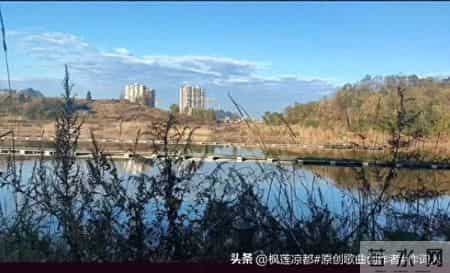 高价值目标，高维思维