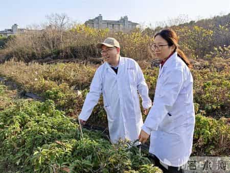 托举十大道地楚药底盘——专访湖北科技进步一等奖获得者、湖北中医大学刘大会教授团队