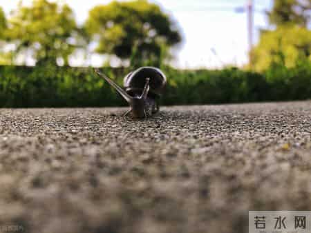 别裸辞！3个月涨粉3万的副业真相：先“试错”，再All in