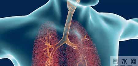 医生反复提醒：一旦患上慢阻肺，宁愿睡到中午，也别随便做这4事