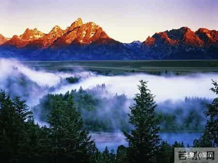 身边的亲戚朋友总爱念叨一句话：不结婚不生孩子，老了谁管你？