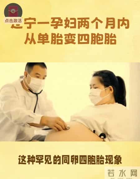 从一到四的奇迹与挑战：怀胎两月变四胞胎，这缘分你能接住吗？