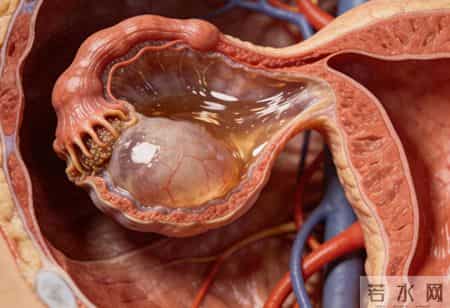 卵巢起变化，腹部会示警？出现这3个信号，或是囊肿正在靠近