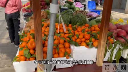 流窜式养老100城 小城过冬哪家强？