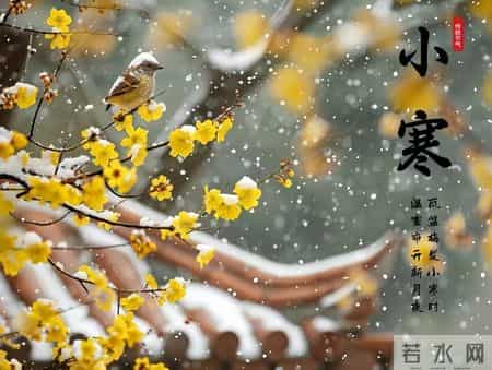 强烈提醒：小寒开始，60岁以上长者，请提前做好这几项生活准备！